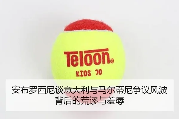 安布罗西尼谈意大利与马尔蒂尼争议风波背后的荒谬与羞辱
